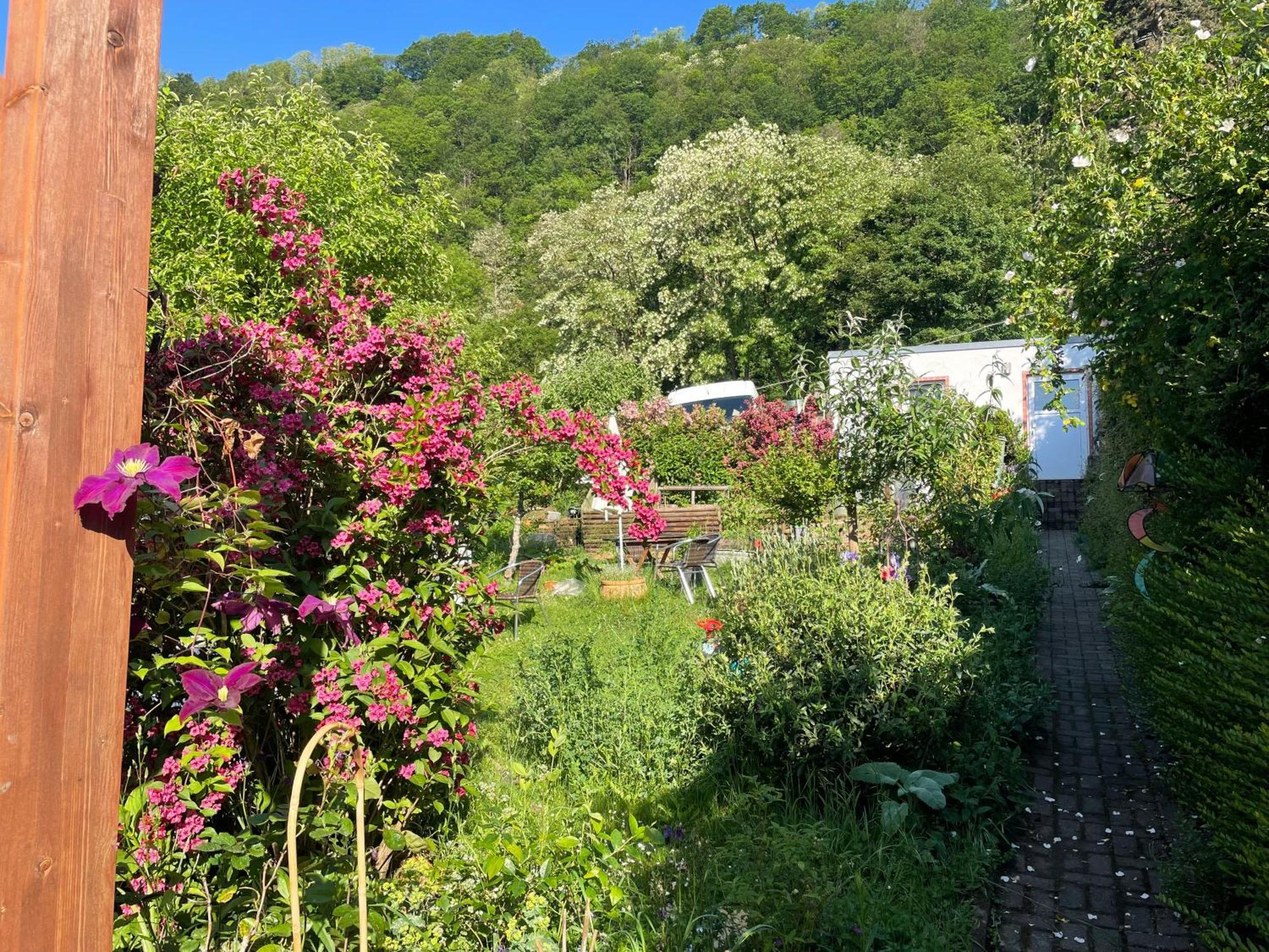 Blick Ins Gruene, Nah Am Zentrum Trier Eksteriør bilde